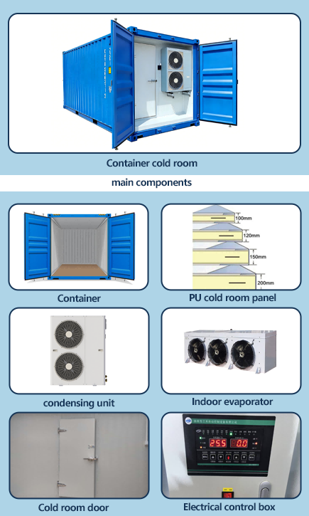 Container Refrigerato di Alta  - Food Storage In Cooler recensione e prezzo