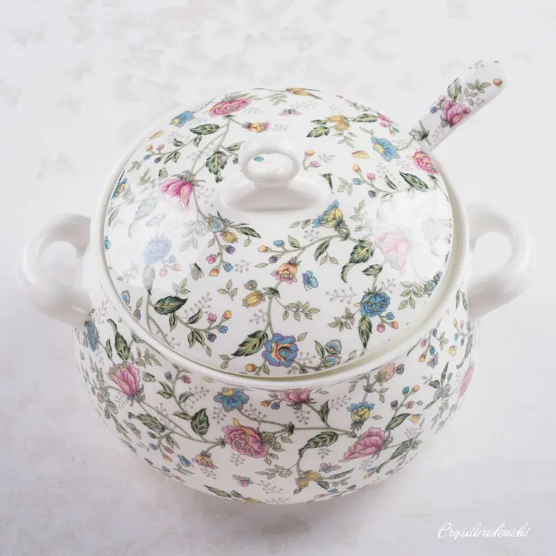 Tureen in porcellana da 9 poll - Food Storage In Plants recensione e prezzo