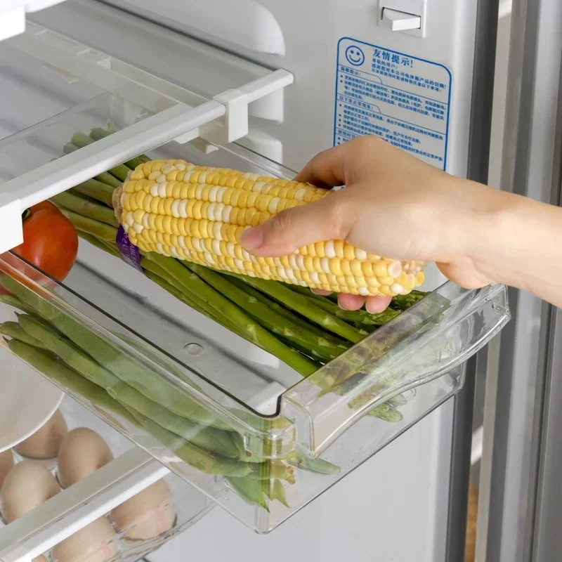 Scatola per la conservazione d - Food Storage Vacuum Sealer Machine recensione e prezzo