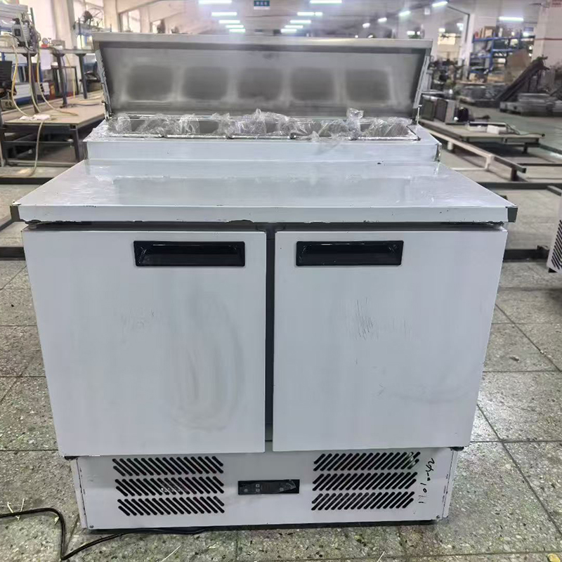 Frigorifero Commerciale a 2 Po - Food Storage In Cooler recensione e prezzo