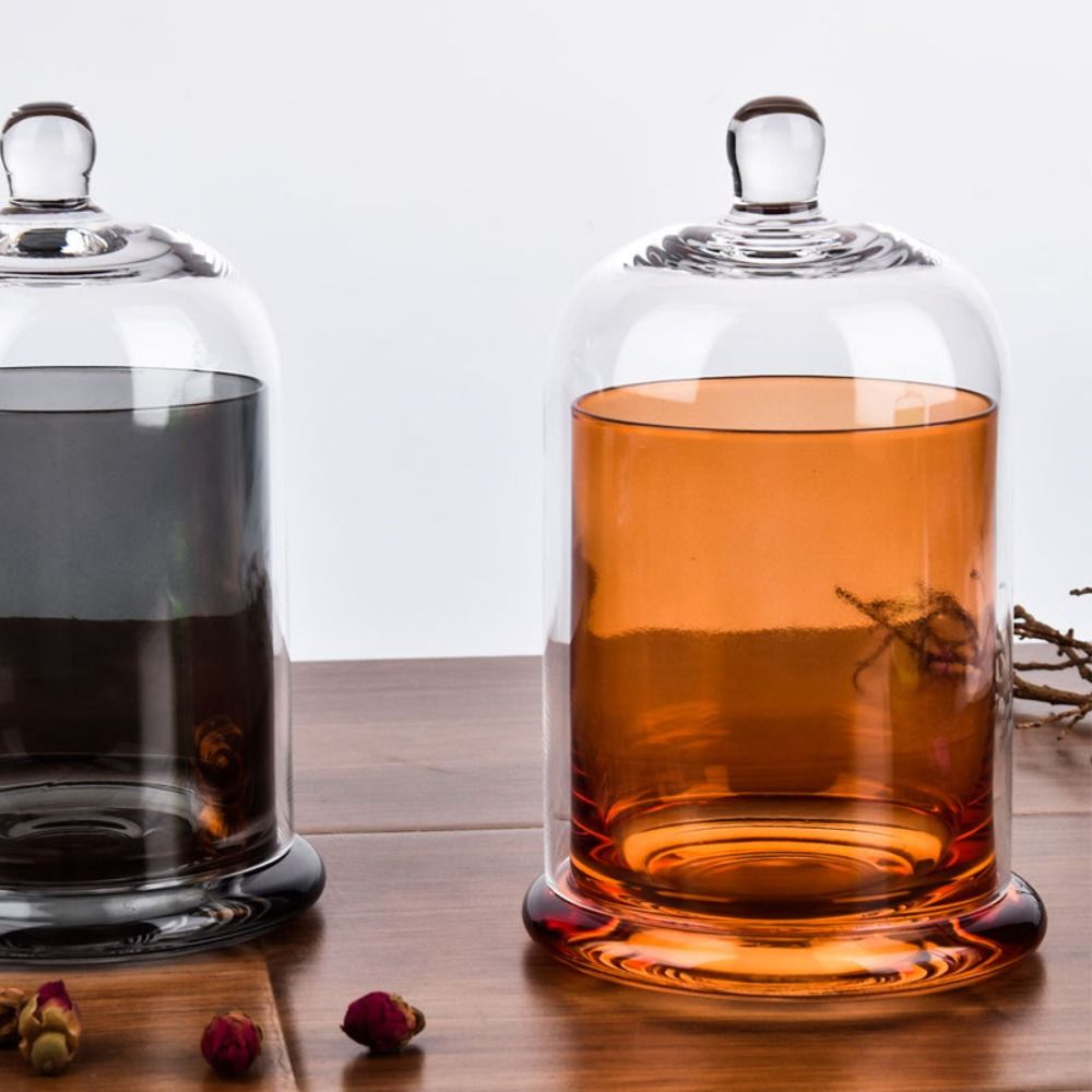 Barattolo in Vetro per Fiori E - Food Storage In Plants recensione e prezzo
