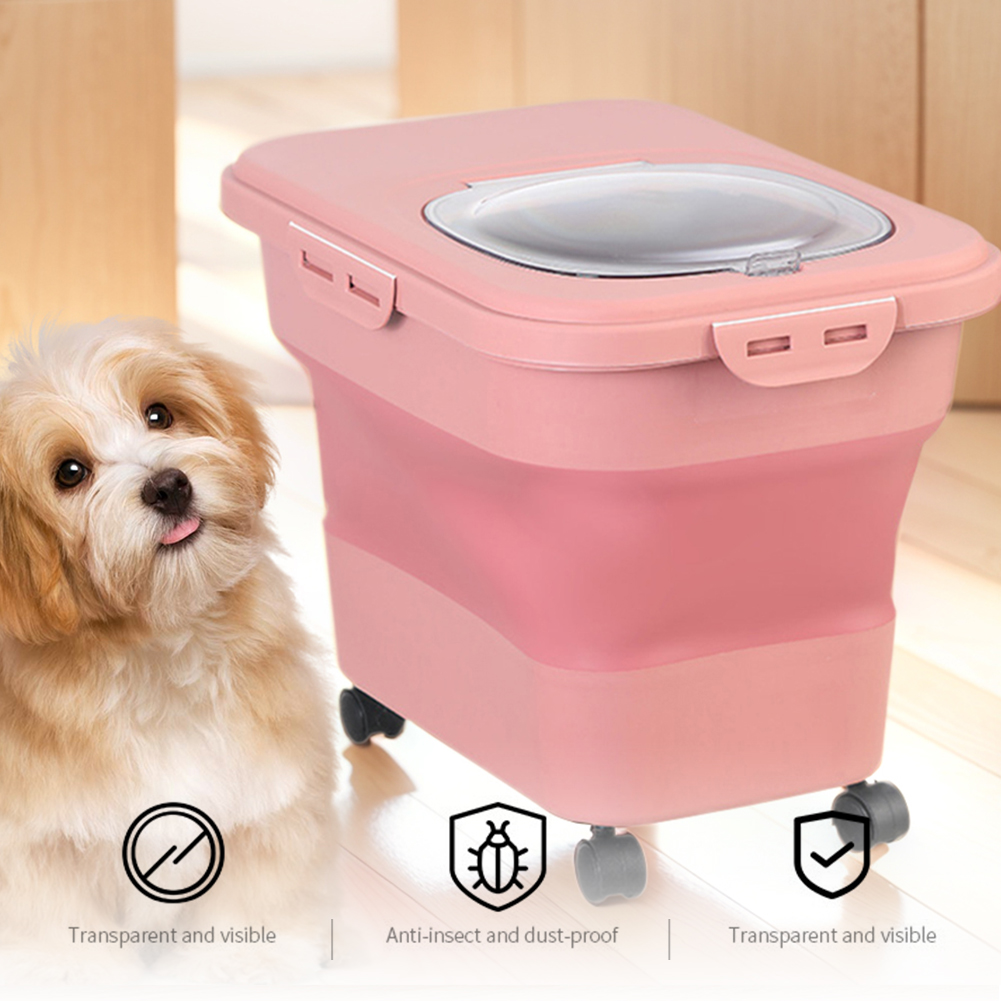 Scatola pieghevole per aliment - Xxl Food Storage Container recensione e prezzo